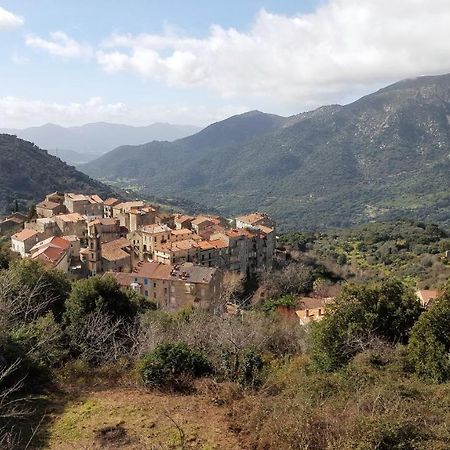 Casa Corsa Villa Santa-Lucia-di-Tallano Bagian luar foto