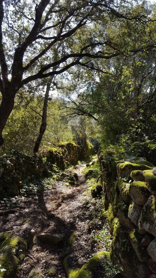 Casa Corsa Villa Santa-Lucia-di-Tallano Bagian luar foto